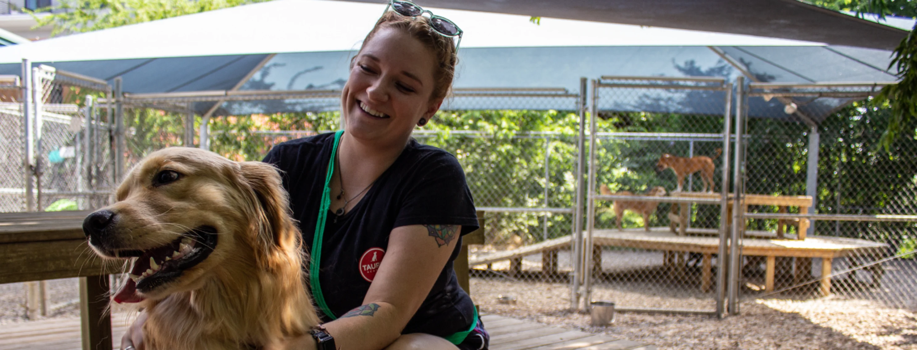 Taurus Staff member playing with dog Taurus Staff member playing with dog