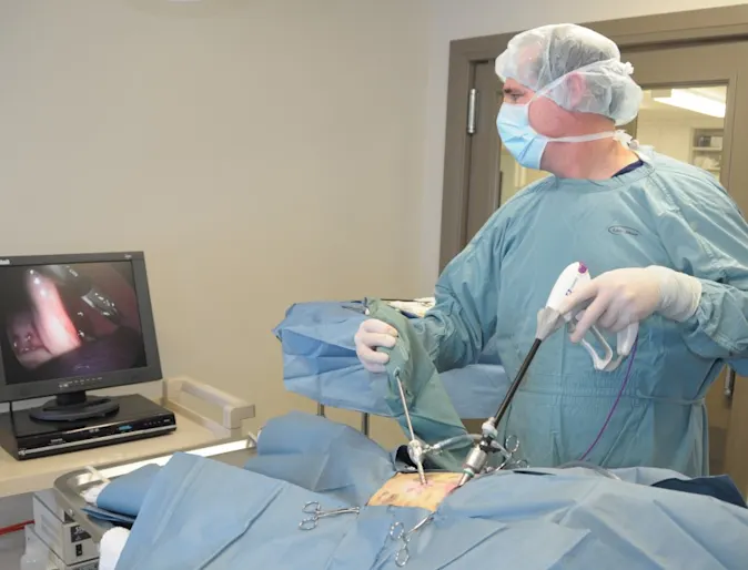 Veterinarian performing a Laparoscopy procedure on a patient Veterinarian performing a Laparoscopy procedure on a patient