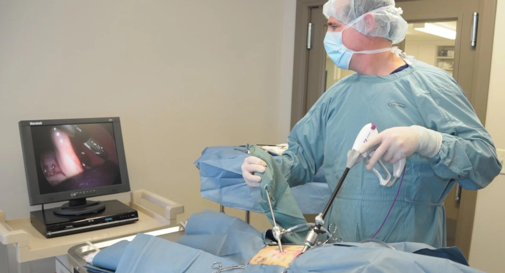 Veterinarian performing a Laparoscopy procedure on a patient Veterinarian performing a Laparoscopy procedure on a patient