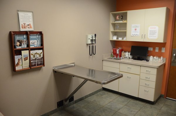 Elmhurst Animal Care Center Exam Room