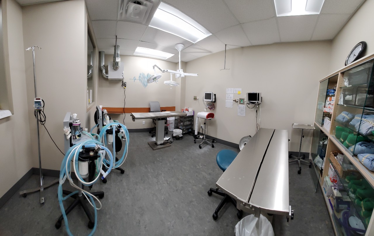 Rose Valley Surgical suite