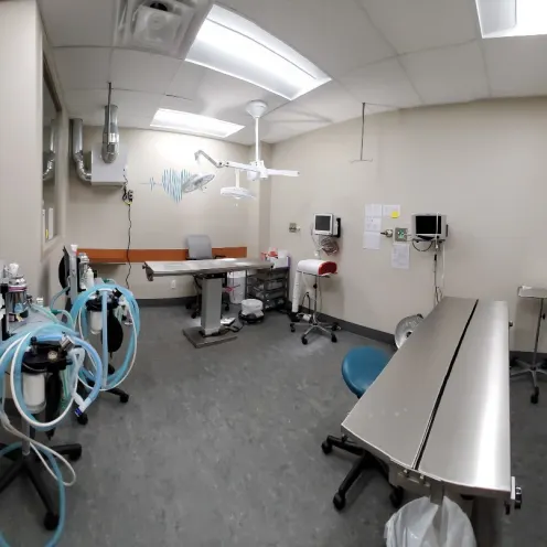 Rose Valley Surgical suite