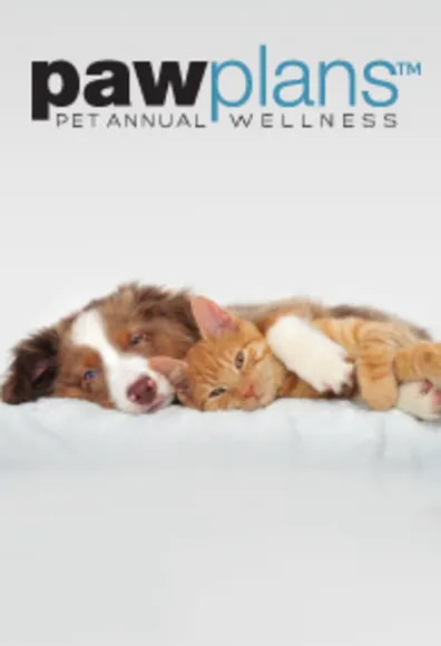 Dog and cat cuddling on white for Paw Plans Dog and cat cuddling on white for Paw Plans