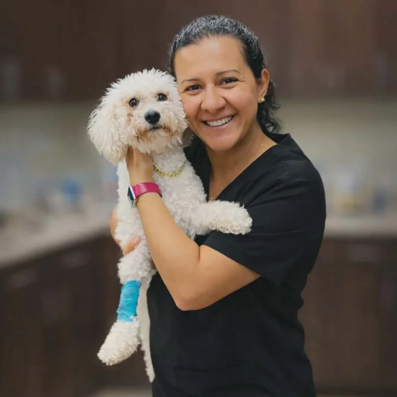 Dr. Maria Gobrial Dr. Maria Gobrial