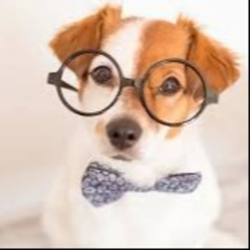 Samuel Doggoton Samuel Doggoton