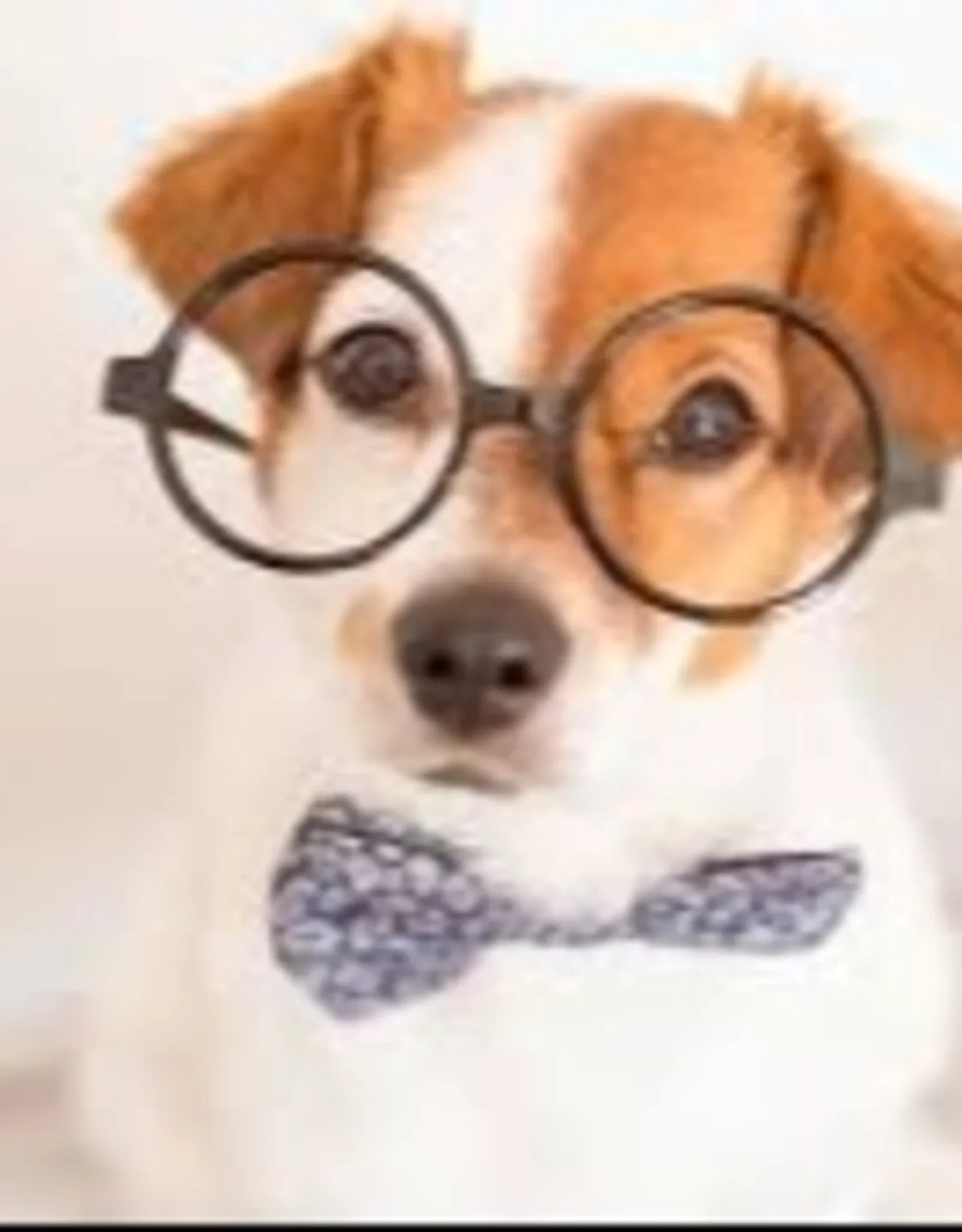 Samuel Doggoton Samuel Doggoton