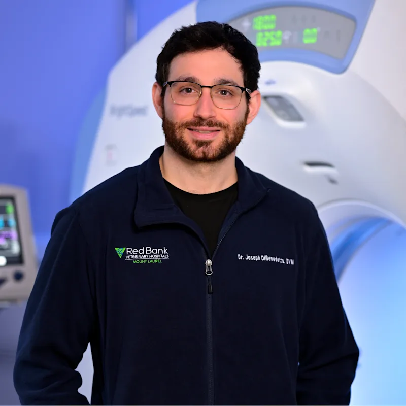 Photo of Dr. DiBendetto Photo of Dr. DiBendetto