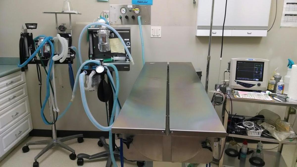 Lake Chatuge Animal Hospital Surgery Suite