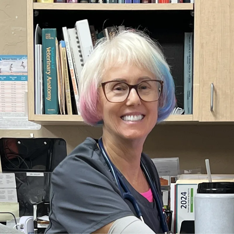 New Staff Member New Staff Member