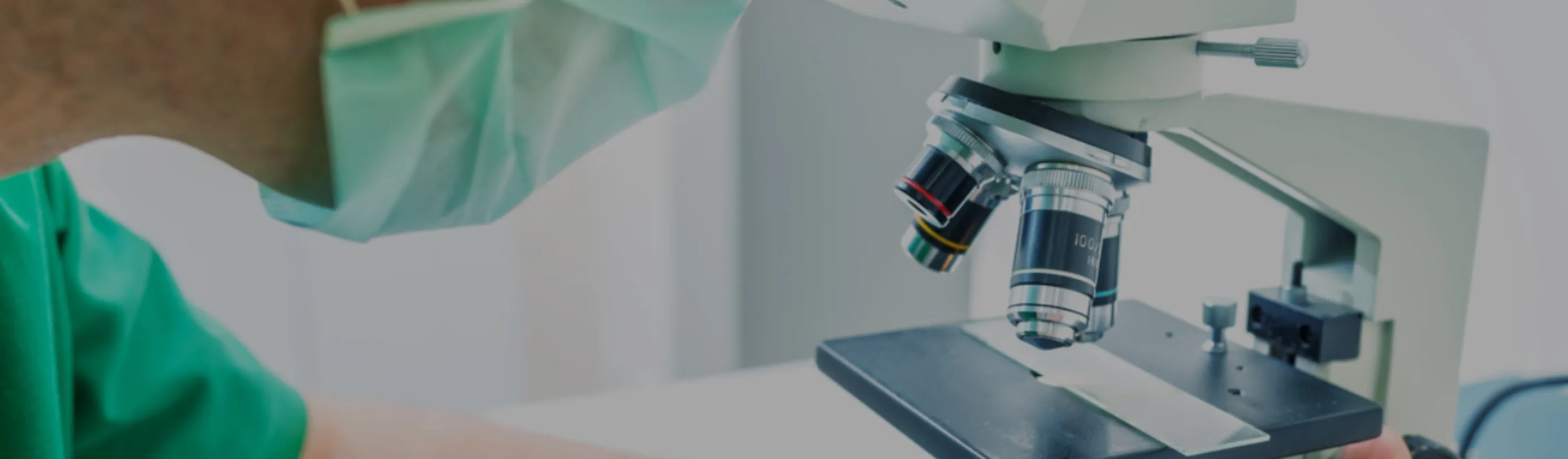 Veterinarian looking into a microscope Veterinarian looking into a microscope