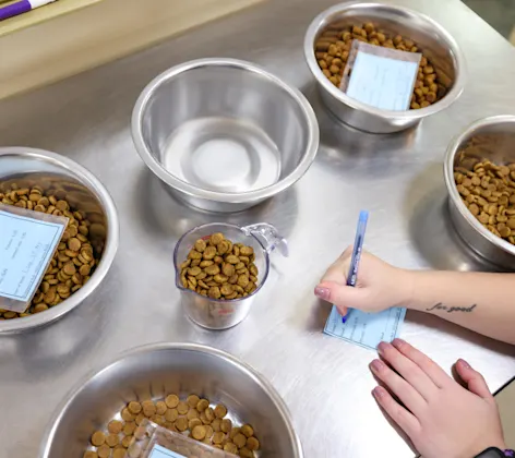 Pet Nutrition and Weight Management Pet Nutrition and Weight Management
