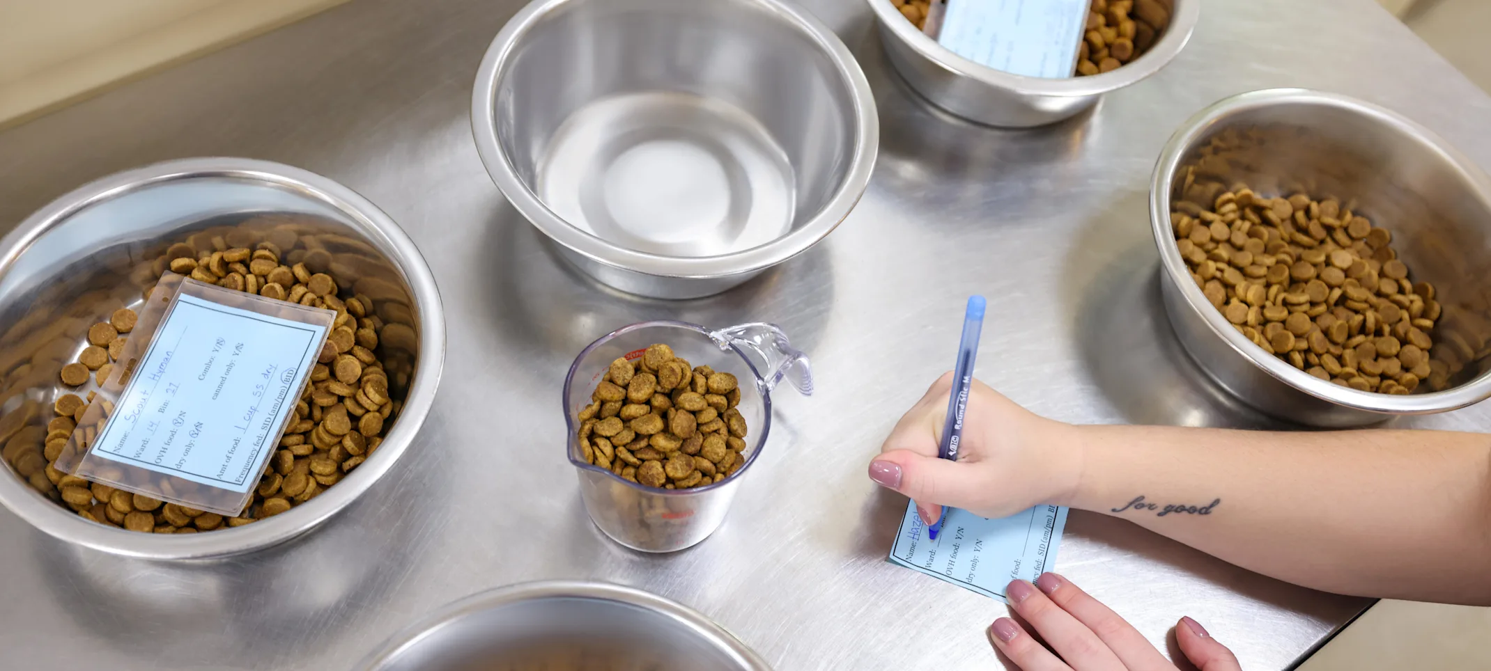 Pet Nutrition and Weight Management Pet Nutrition and Weight Management