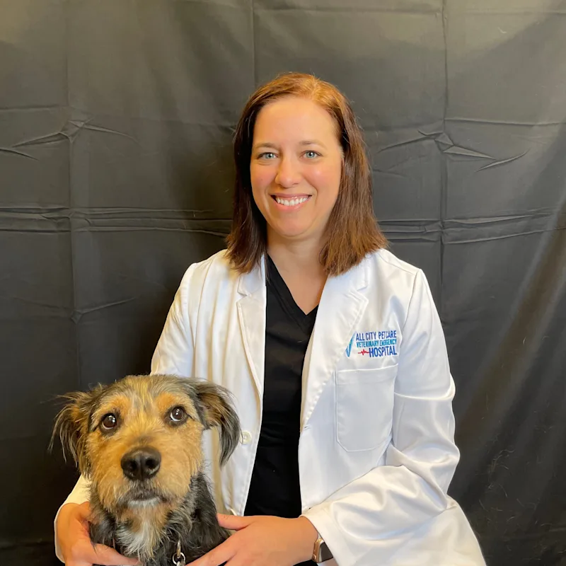 Dr. Melissa Schochenmaier Dr. Melissa Schochenmaier