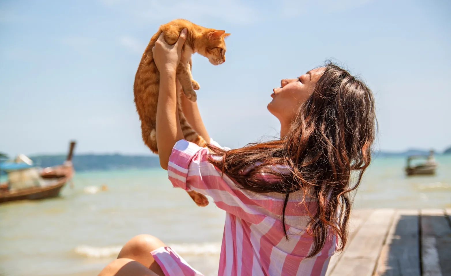 Woman holding an orange cat at the beach Woman holding an orange cat at the beach