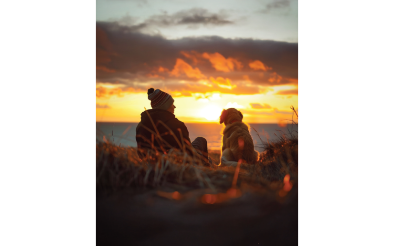 Owner & Dog Watching the Sunset Together