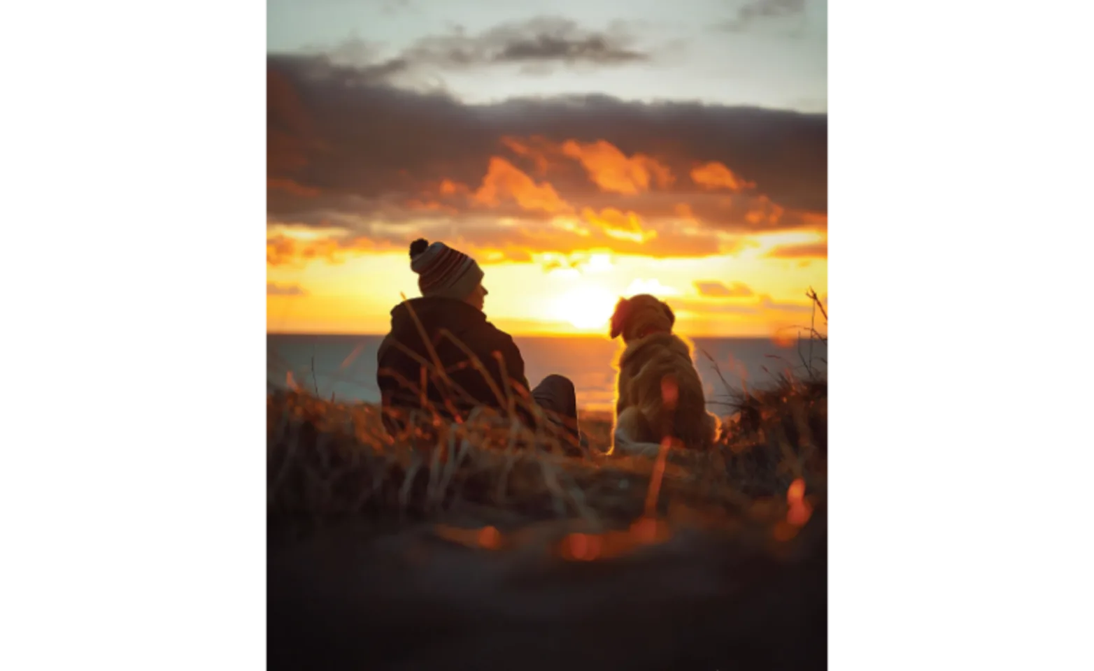 Owner & Dog Watching the Sunset Together Owner & Dog Watching the Sunset Together