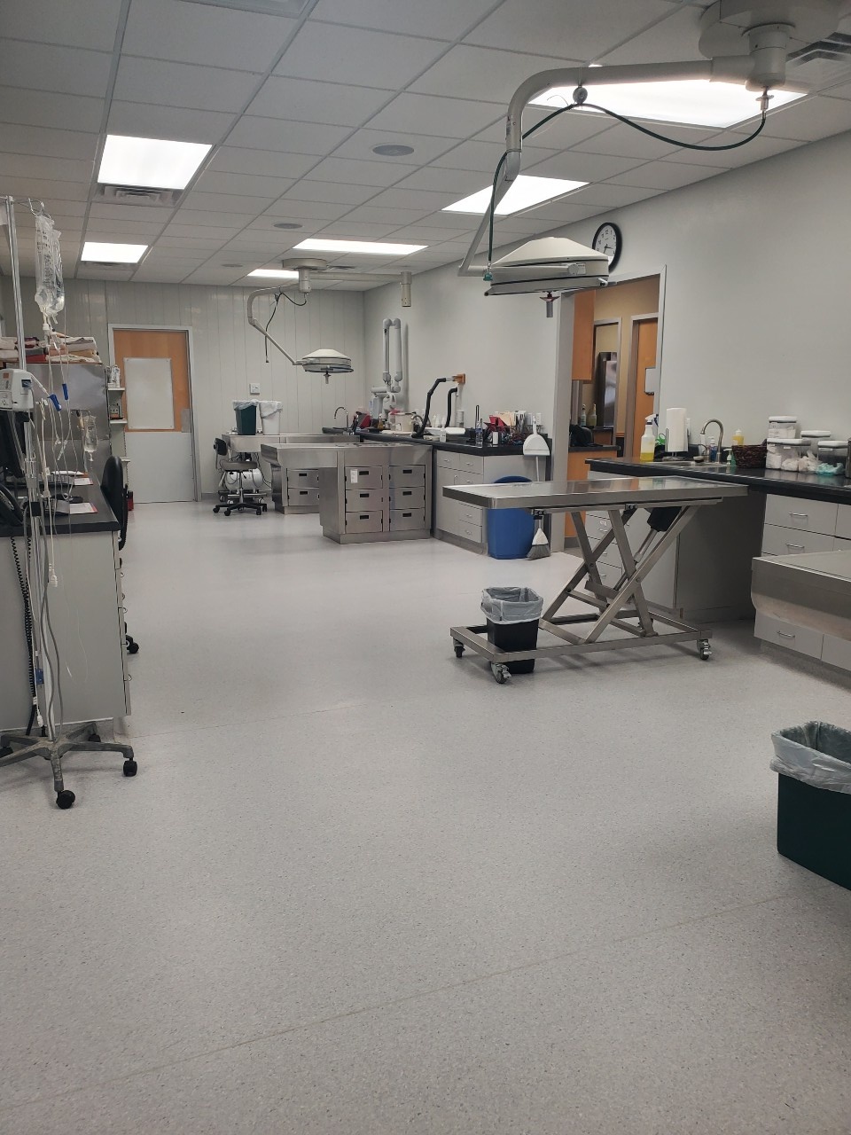 Family Pet Hospital Perry Creek 0131 - Treatment Room