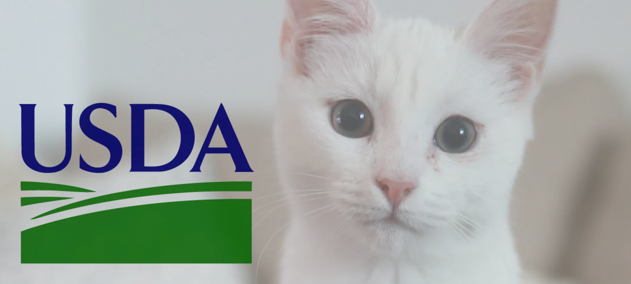 USDA USDA