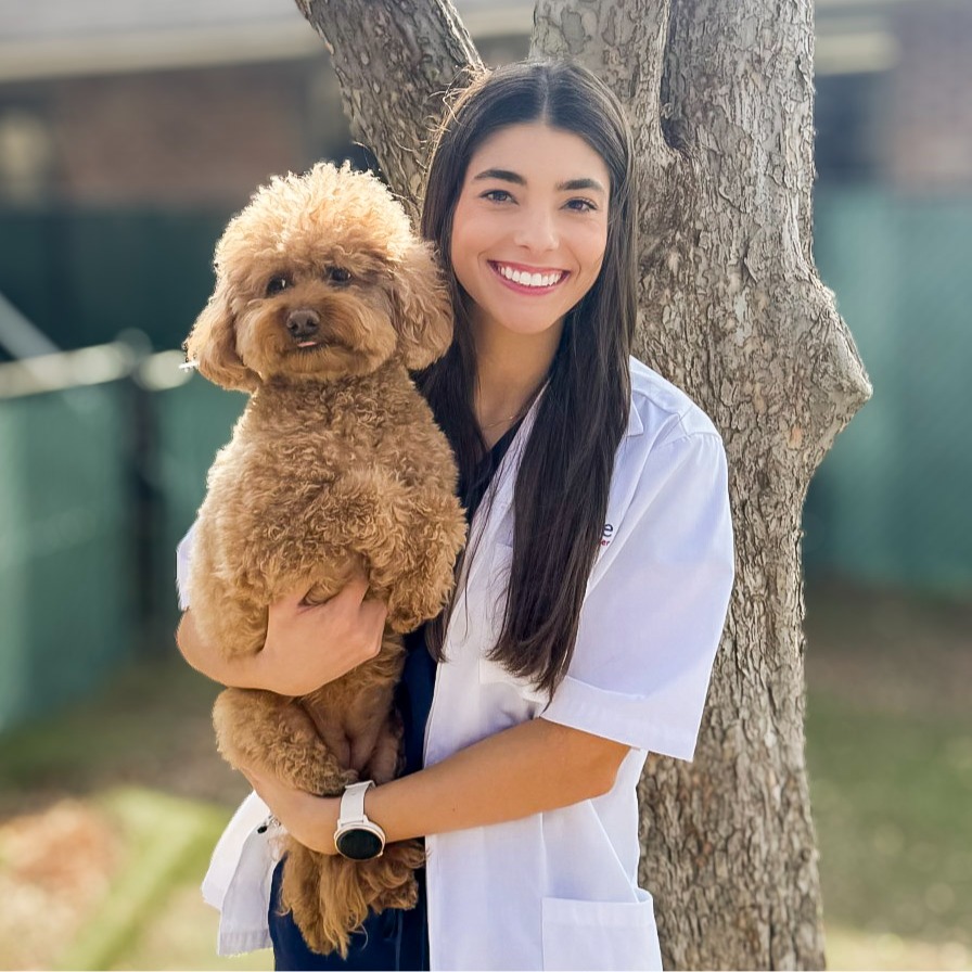 Dr. Alaina Randazzo, DVM