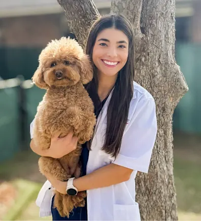 Dr. Alaina Randazzo, DVM Dr. Alaina Randazzo, DVM