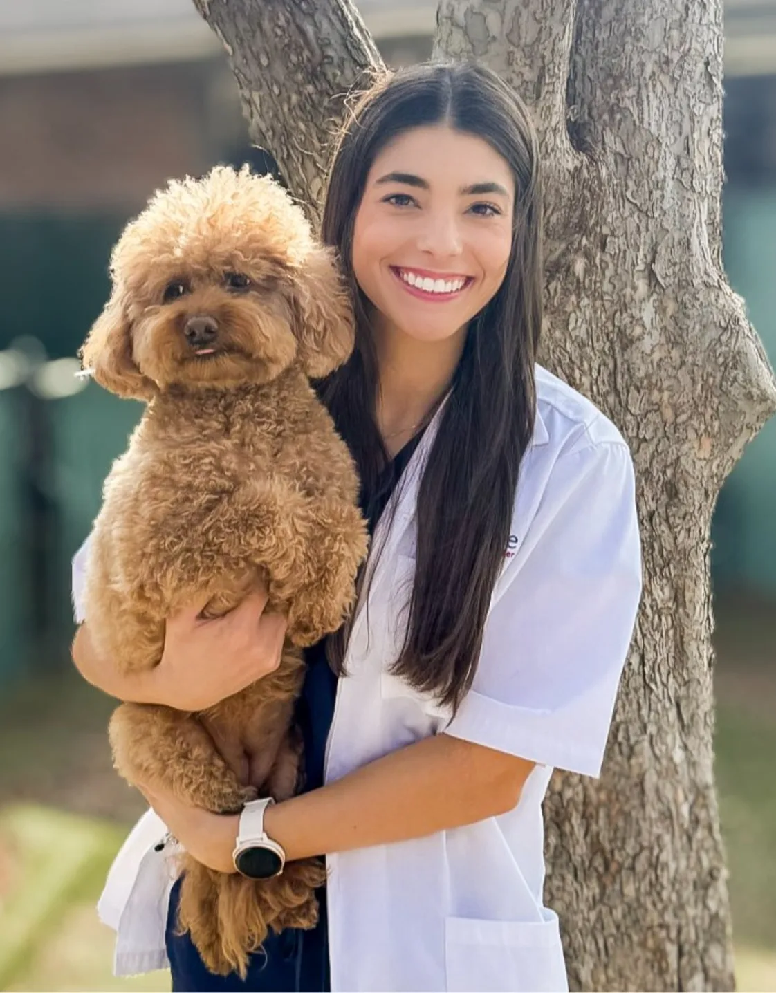 Dr. Alaina Randazzo, DVM Dr. Alaina Randazzo, DVM