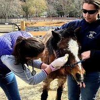 Emergency and Critical Care