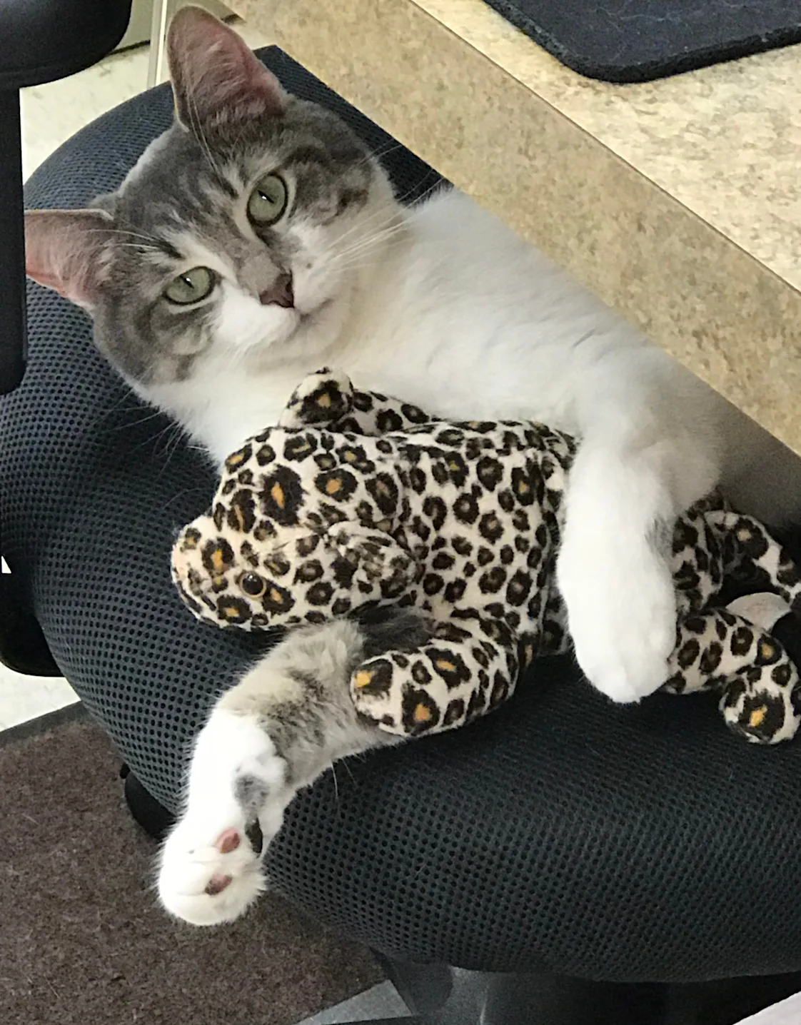 Breanna S. Breanna S.