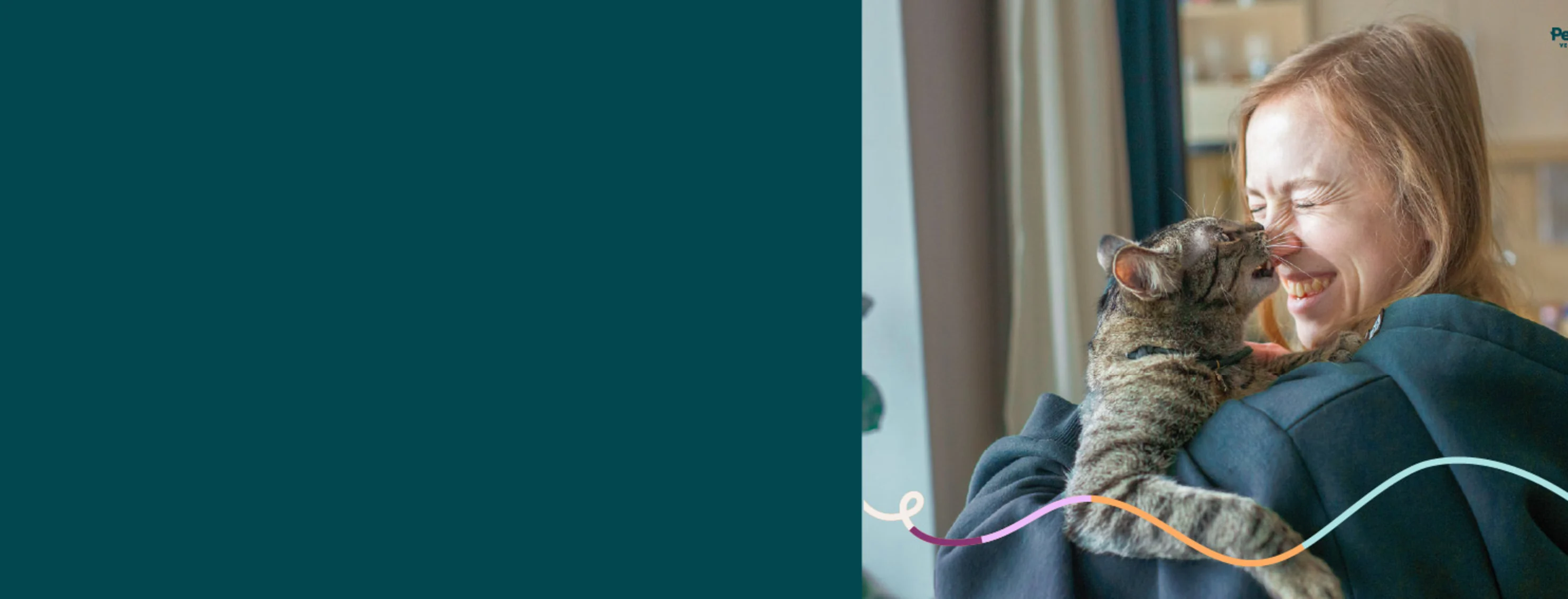 A woman holding a cat in her arms while the cat reaches up and licks the woman's nose. A woman holding a cat in her arms while the cat reaches up and licks the woman's nose.