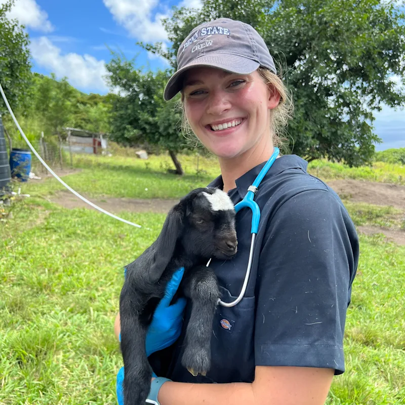 Dr. Codi Bolinger Dr. Codi Bolinger