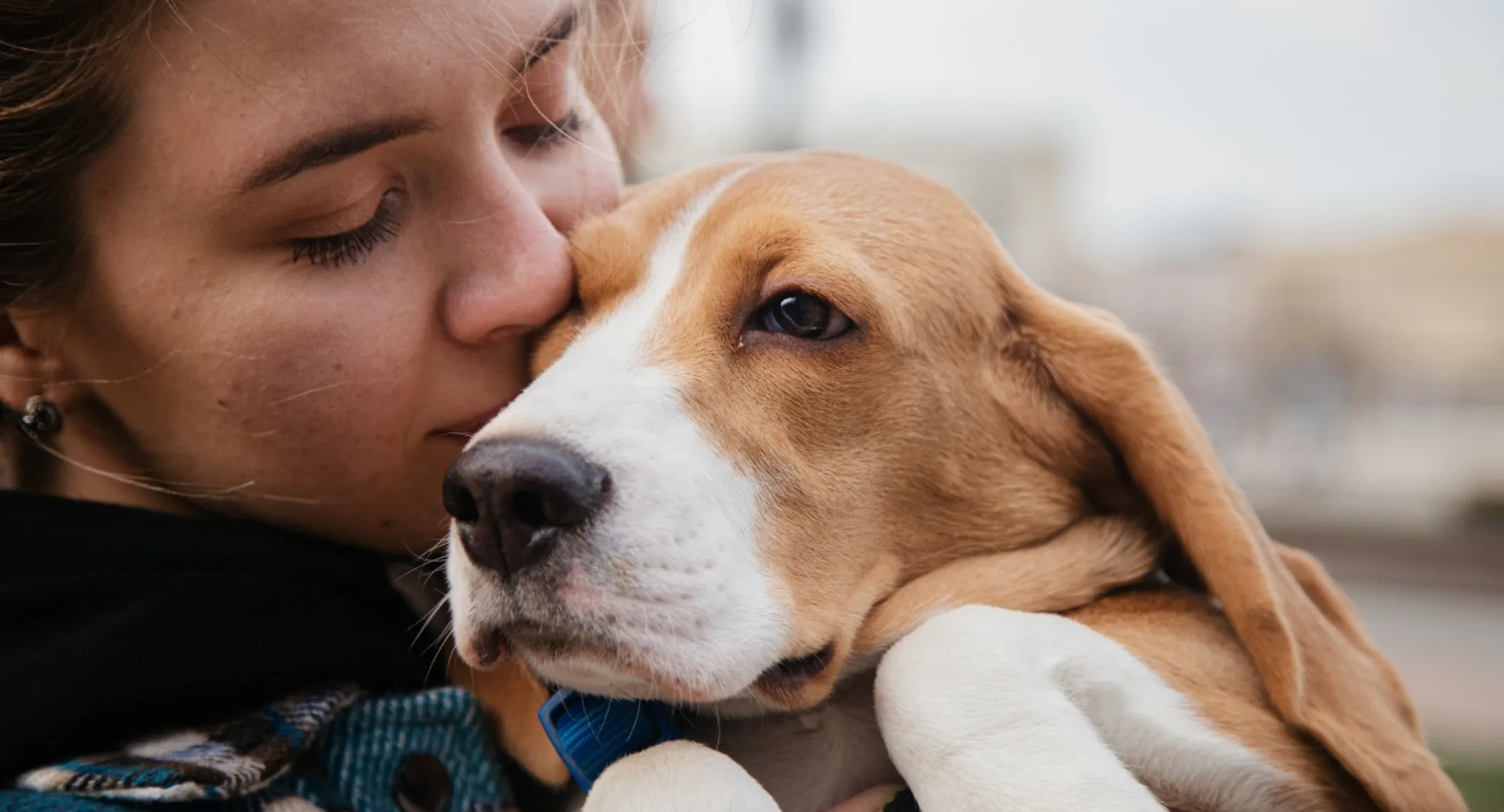 Dog owner kissing her beagle's head. Dog owner kissing her beagle's head.