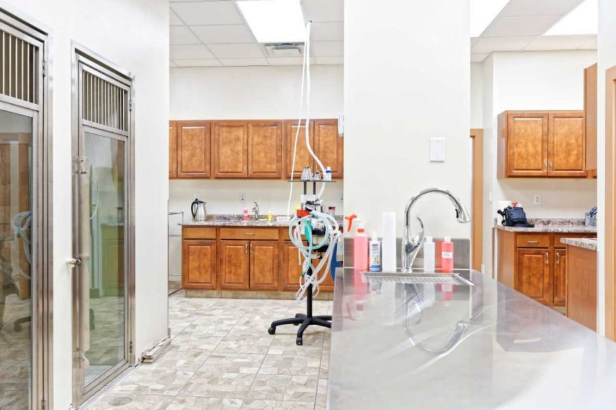 Hallway at Sherwood Veterinary Clinic