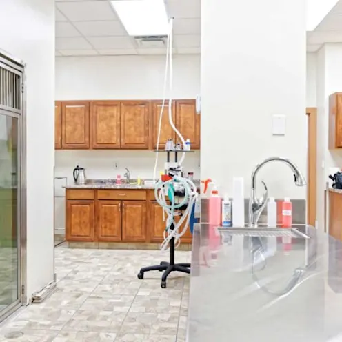 Hallway at Sherwood Veterinary Clinic Hallway at Sherwood Veterinary Clinic