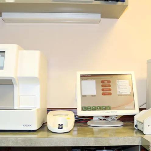 Clinic Laboratory Clinic Laboratory