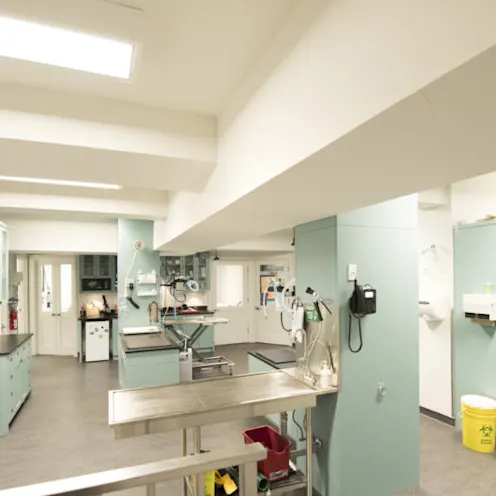 Treatment Room Treatment Room