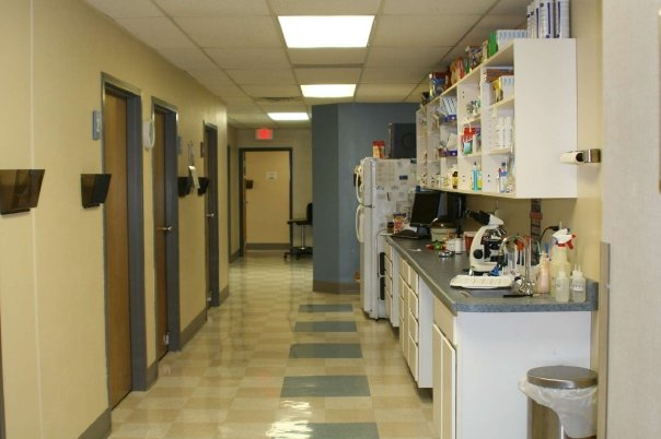 hallway in our office