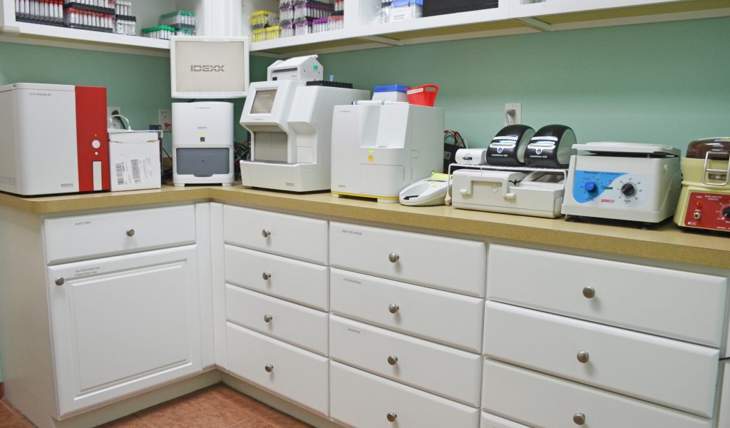 Lab at FVRC