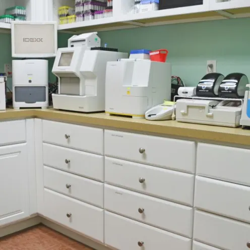 Lab at FVRC