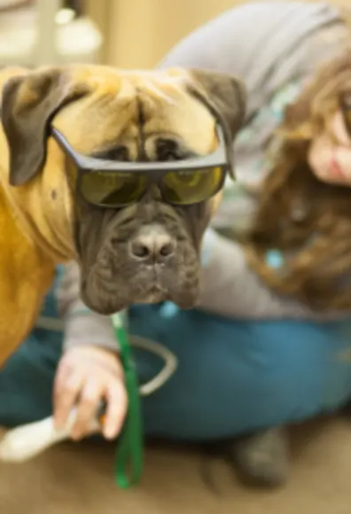 A boxer wearing protective eyewear A boxer wearing protective eyewear