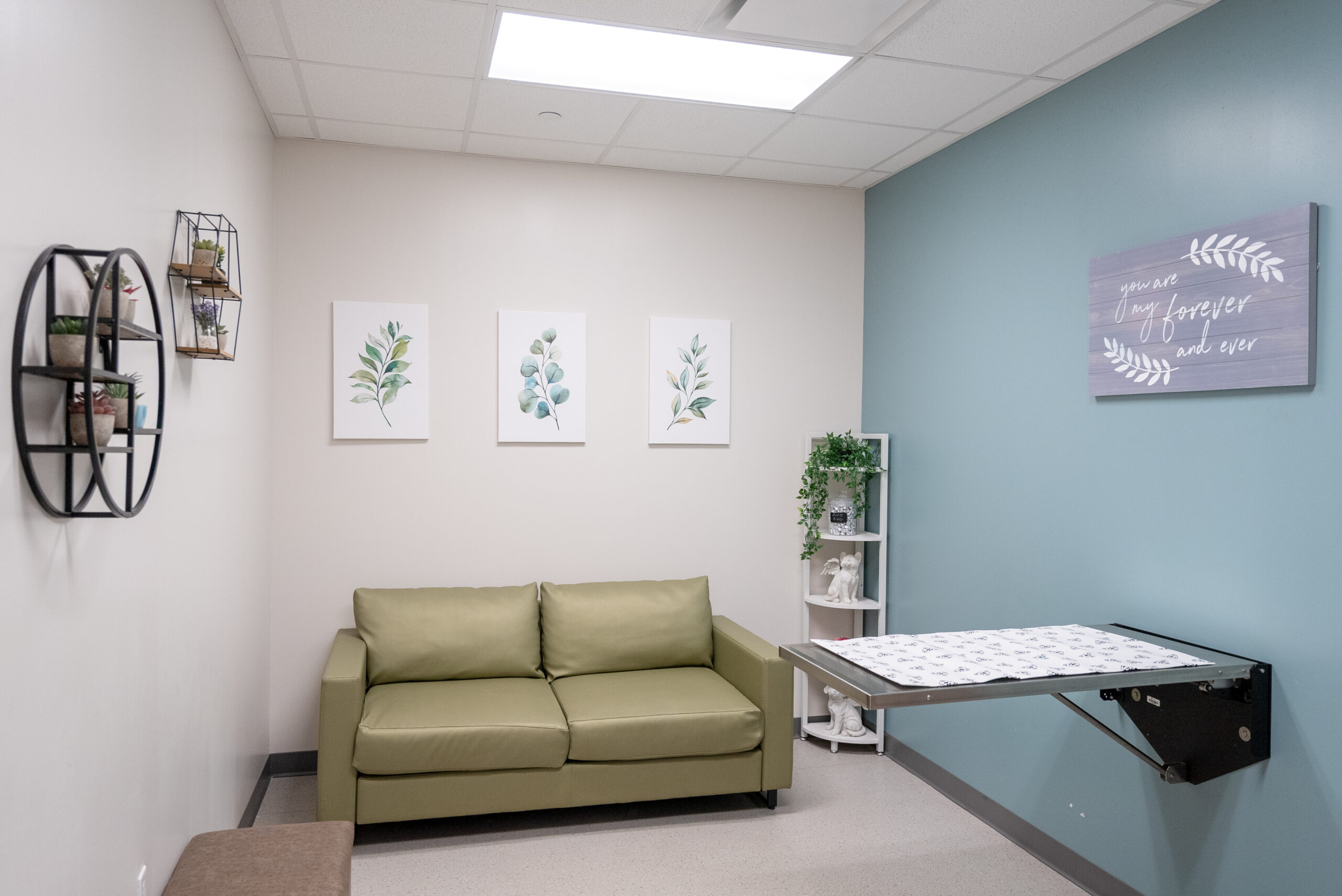 Red Bank Veterinary Hospital Hillsborough facility