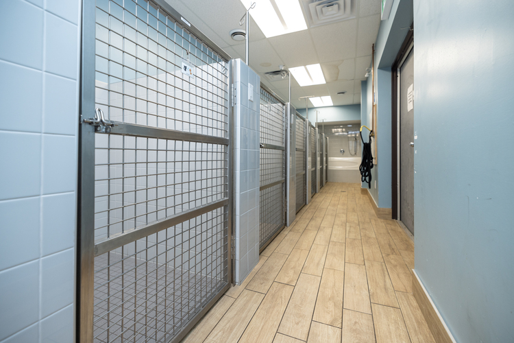 Kennel Area