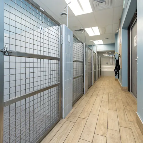 Kennel Area Kennel Area