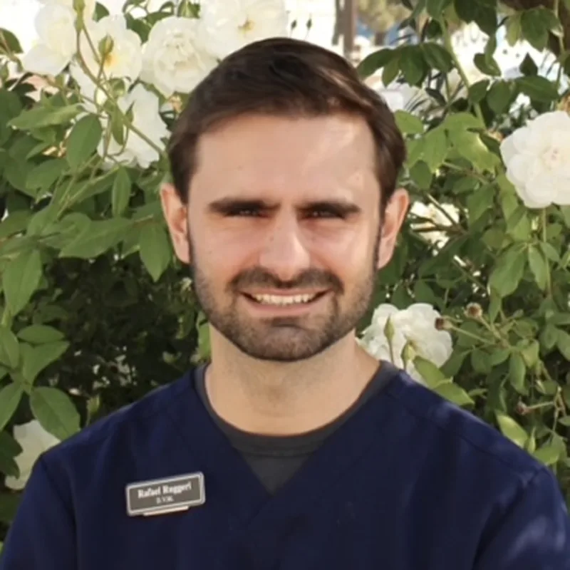 Man with dark blue shirt smiling at camera Man with dark blue shirt smiling at camera