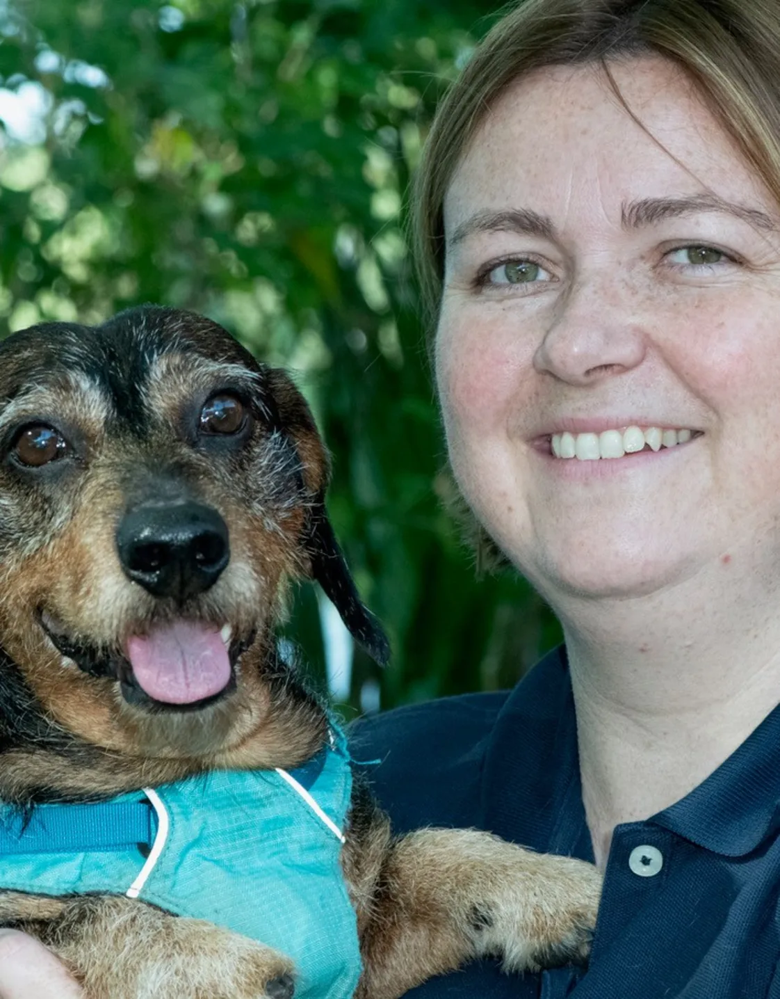 Dr. Elizabeth McMorran, DVM Dr. Elizabeth McMorran, DVM