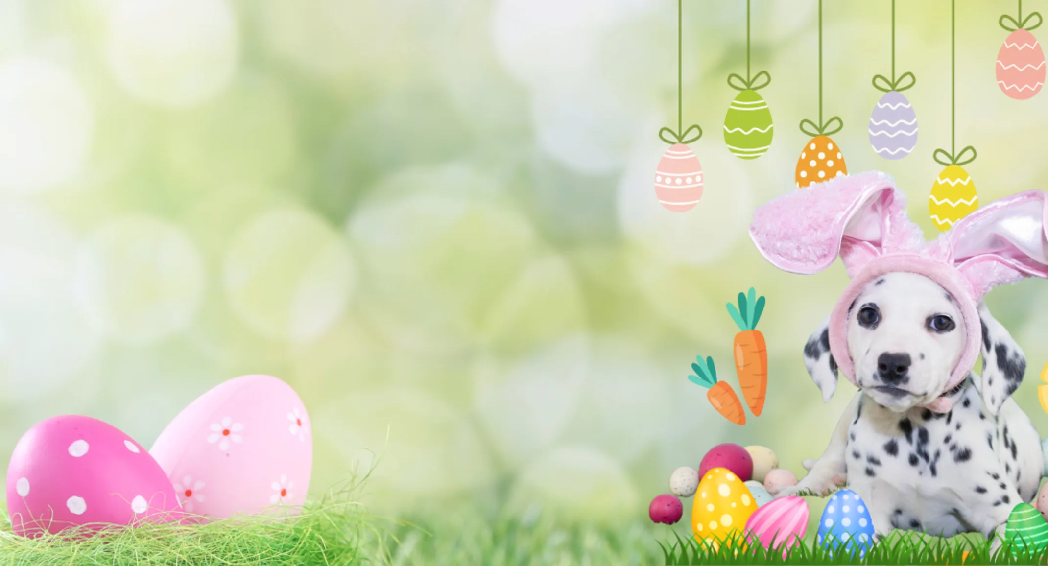 Dalmatian (Dog) Wearing Bunny Ears Dalmatian (Dog) Wearing Bunny Ears