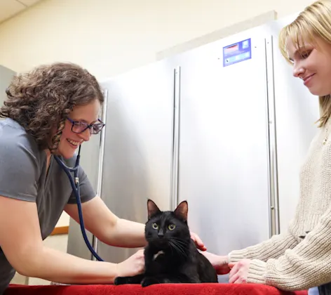 Adult Pet Care Adult Pet Care