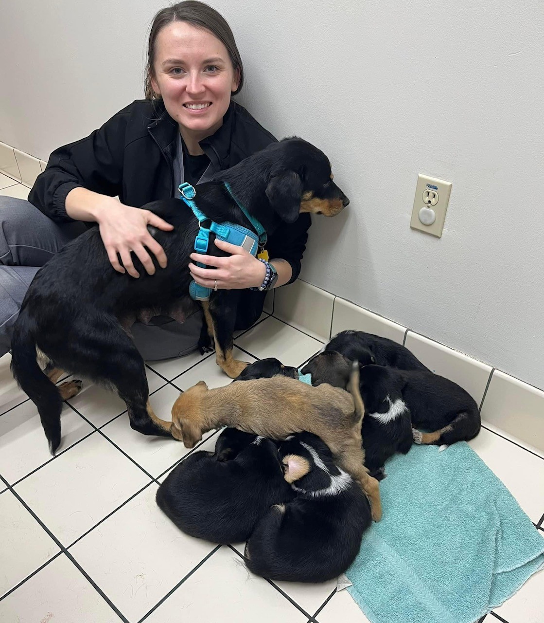 Dr. Koller in the Exam Room with Puppies