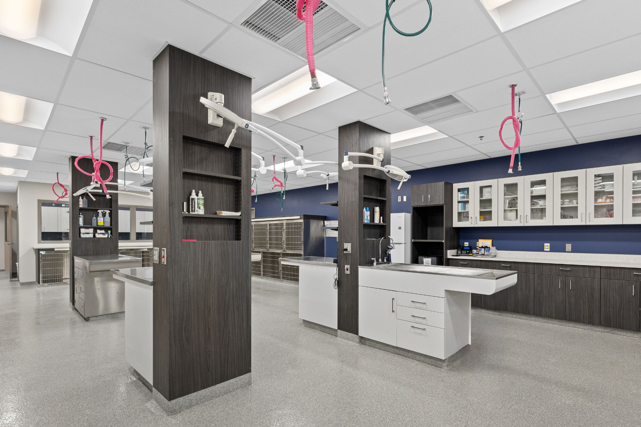 Animal Clinic of Rapid City Exam Tables