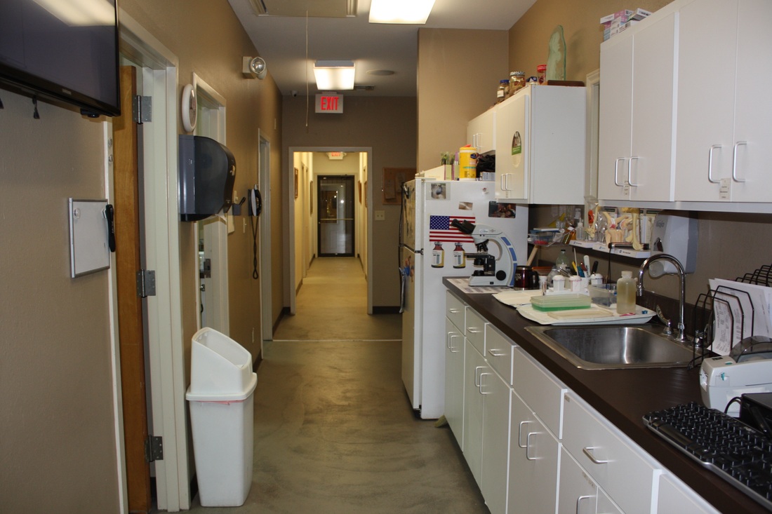 Westridge Animal Hospital Back Hallway