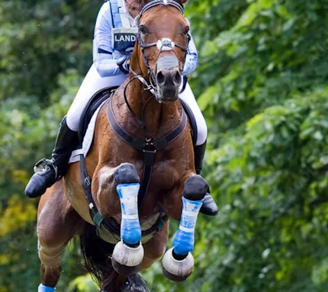 Horse and rider jumping over an obstacle Horse and rider jumping over an obstacle