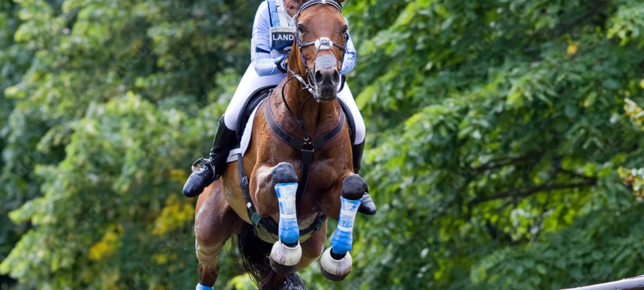 Horse and rider jumping over an obstacle